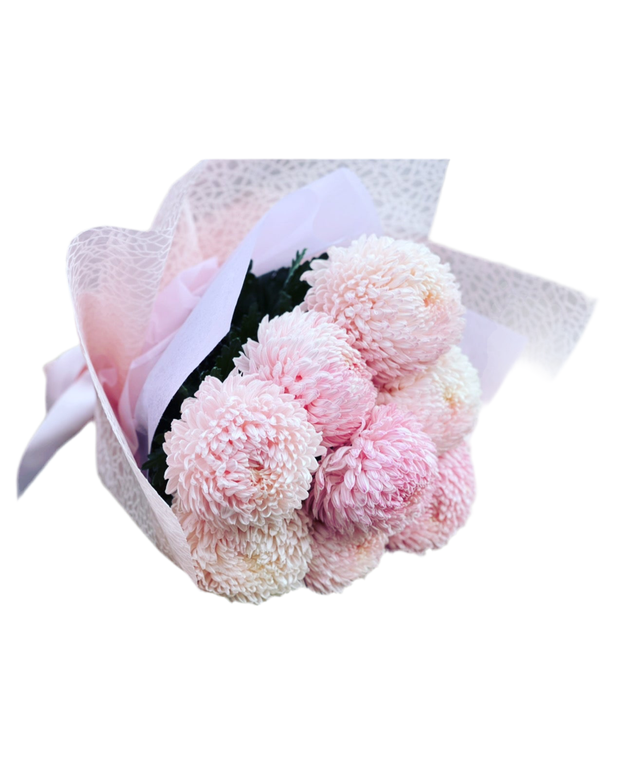 Fluffy mum chrysanthemums