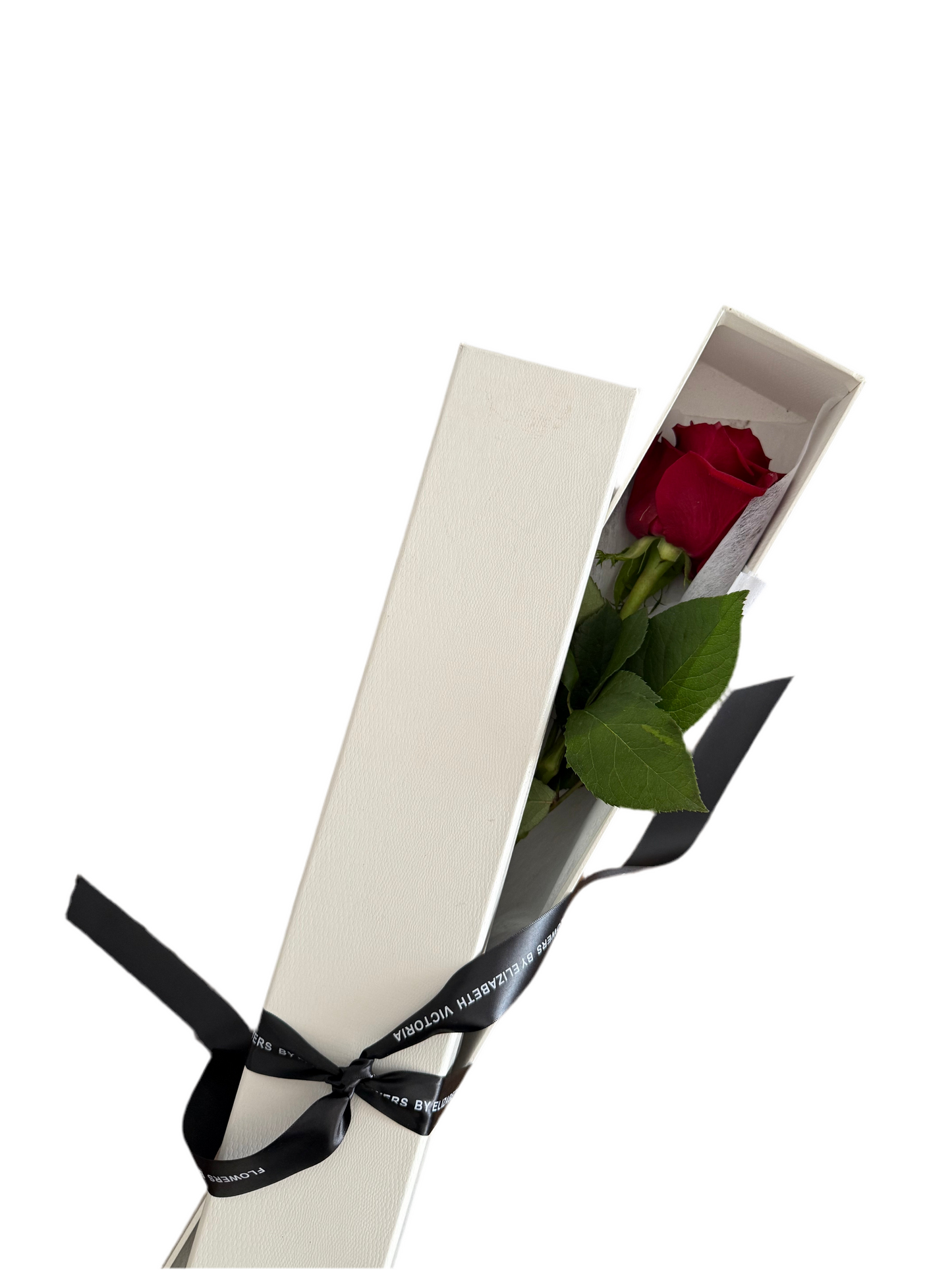 Single Stemmed Rose Gift Boxed