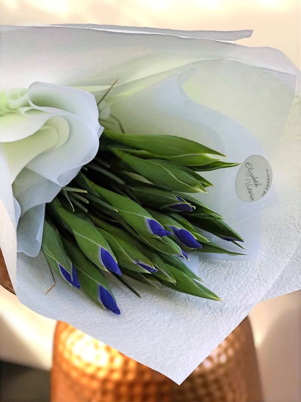 Iris - Blue