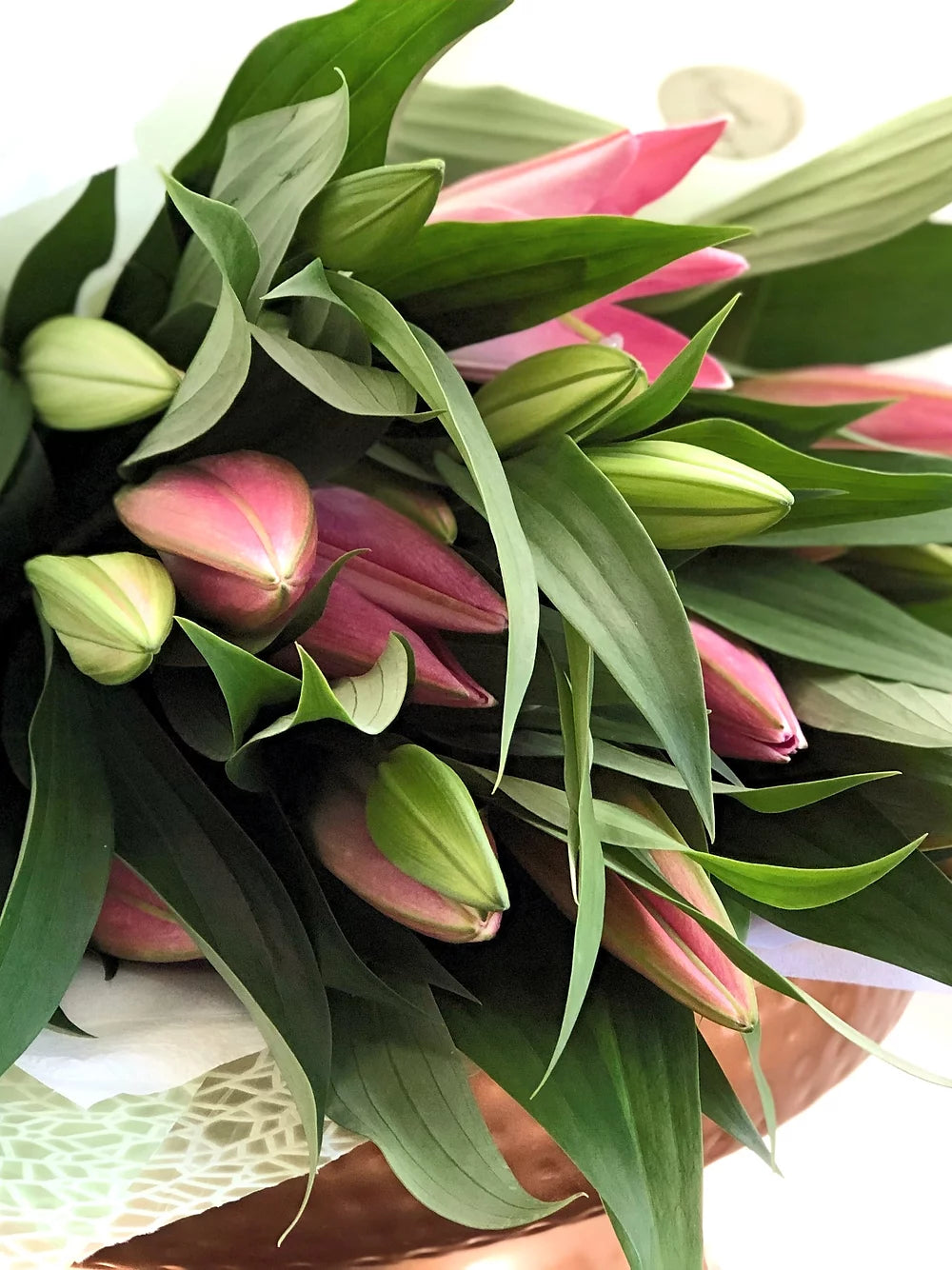 Oriental Lilies