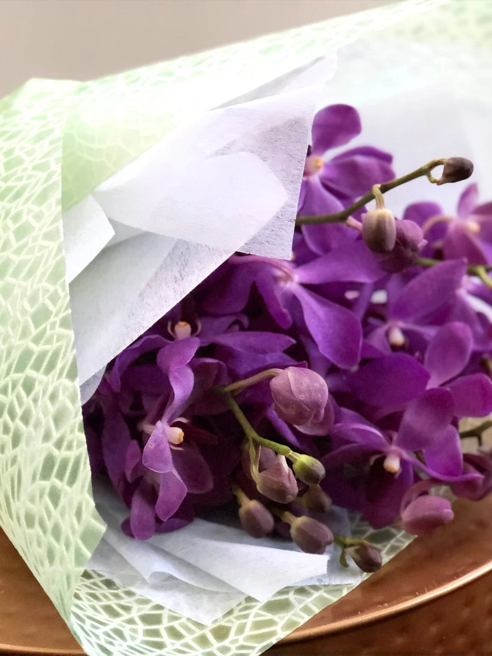 Orchids