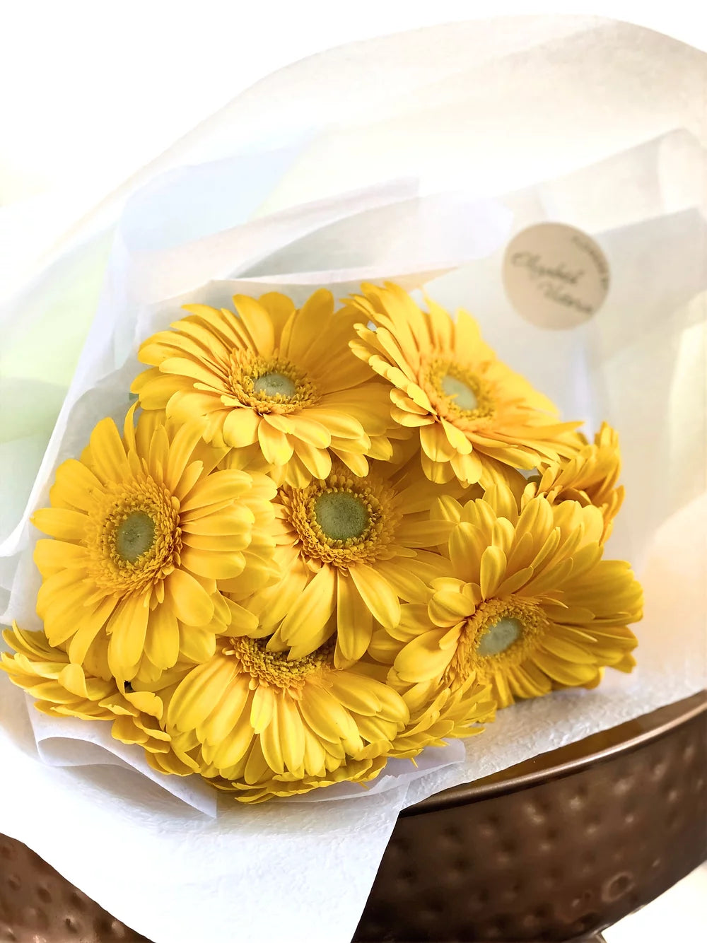 Gerberas