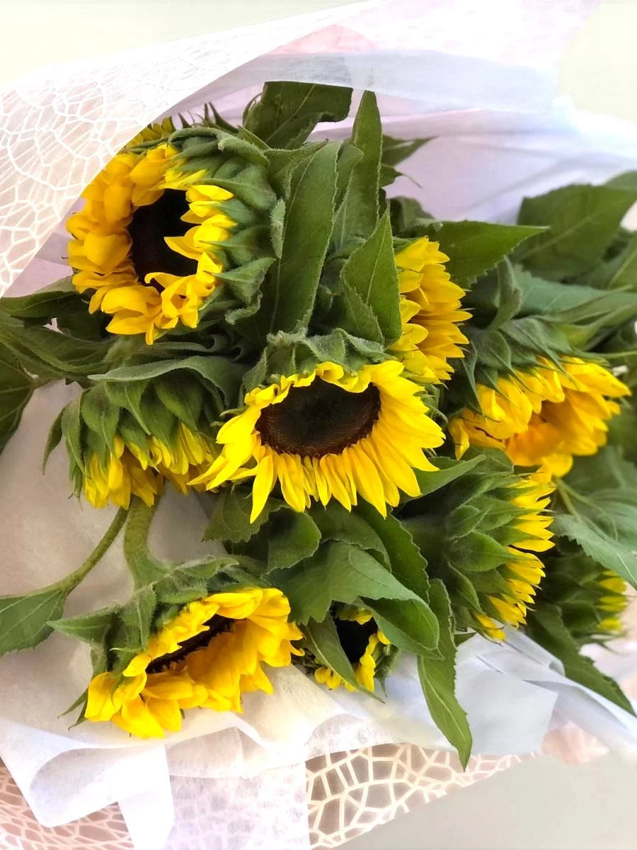 Sunflowers